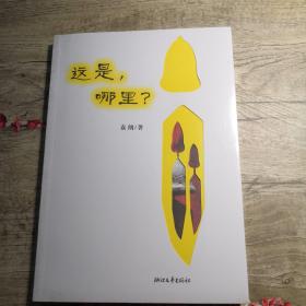 这是，哪里？（全新未拆封）