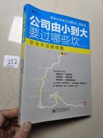 公司由小到大要过哪些坎：—解密创业企业成长经营3阶段、10基因；宋新宇推荐“能长大的企业是有规律的，中小企业的成长地图”； 7大本土全景案例.博瑞森