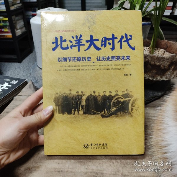 北洋大时代：以细节还原历史 让历史照亮未来