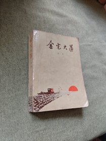 金光大道 一版一印