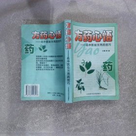 方药心悟：名中医处方用药技巧