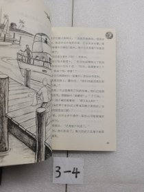 神秘案件 金鹅号的宝藏
