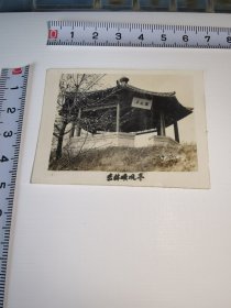 吉林旧景！！老照片---五十年代！《吉林旷观亭》！