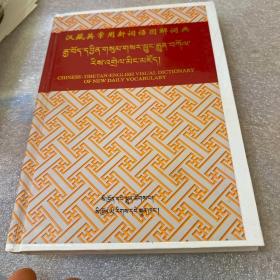 汉藏英常用新词语图解词典