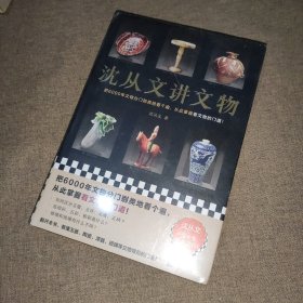 沈从文讲文物（近200张彩插！把6000年文物分门别类地看个遍，从此掌握看文物的门道！看懂玉器、陶瓷、漆器等文物的门道）