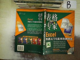 表格专家 Excel 快速入门与实用范例精选  ，，