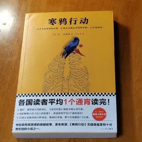 寒鸦行动