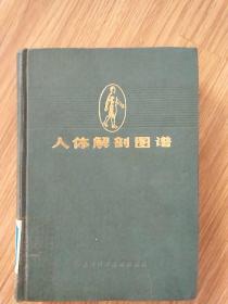 人体解剖图谱 精装 1979年新一版 1985年三印(馆藏书 )