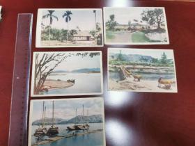 1960年代越南老风景明信片五种：《胡志明主席家乡的景色》，背面有中文手写说明