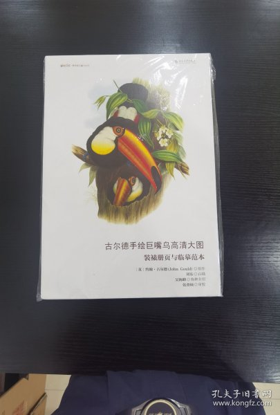 古尔德手绘巨嘴鸟高清大图 装裱册页与临摹范本