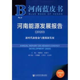 河南蓝皮书：河南能源发展报告2020