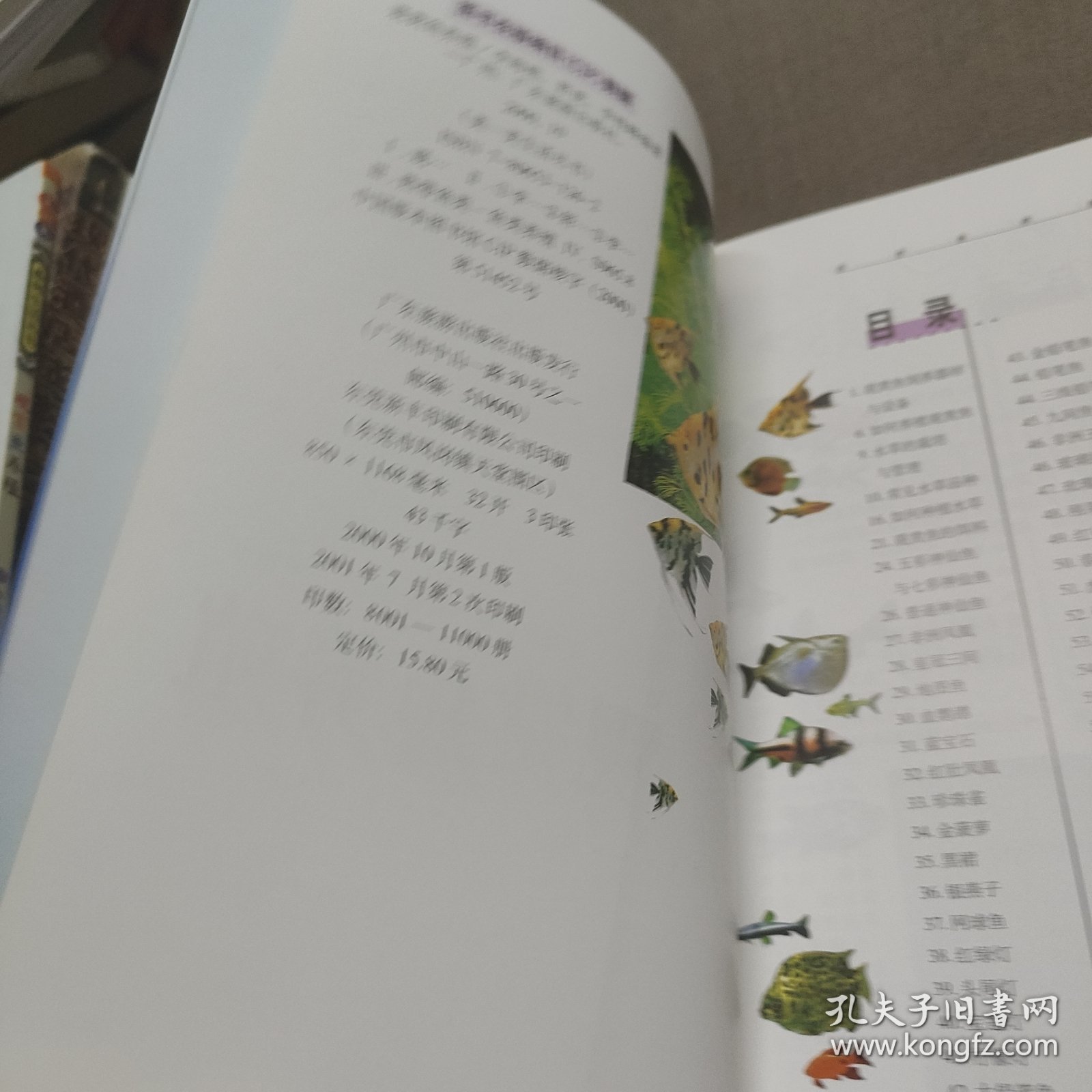 观赏鱼养殖——美一美生活丛书