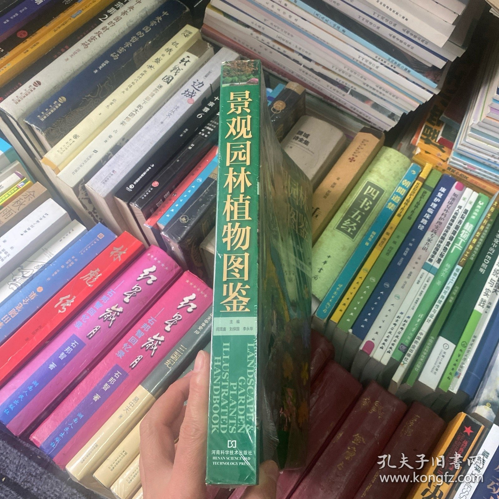景观园林植物图鉴