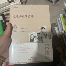 无处安放的童年：“童梦京华”系列