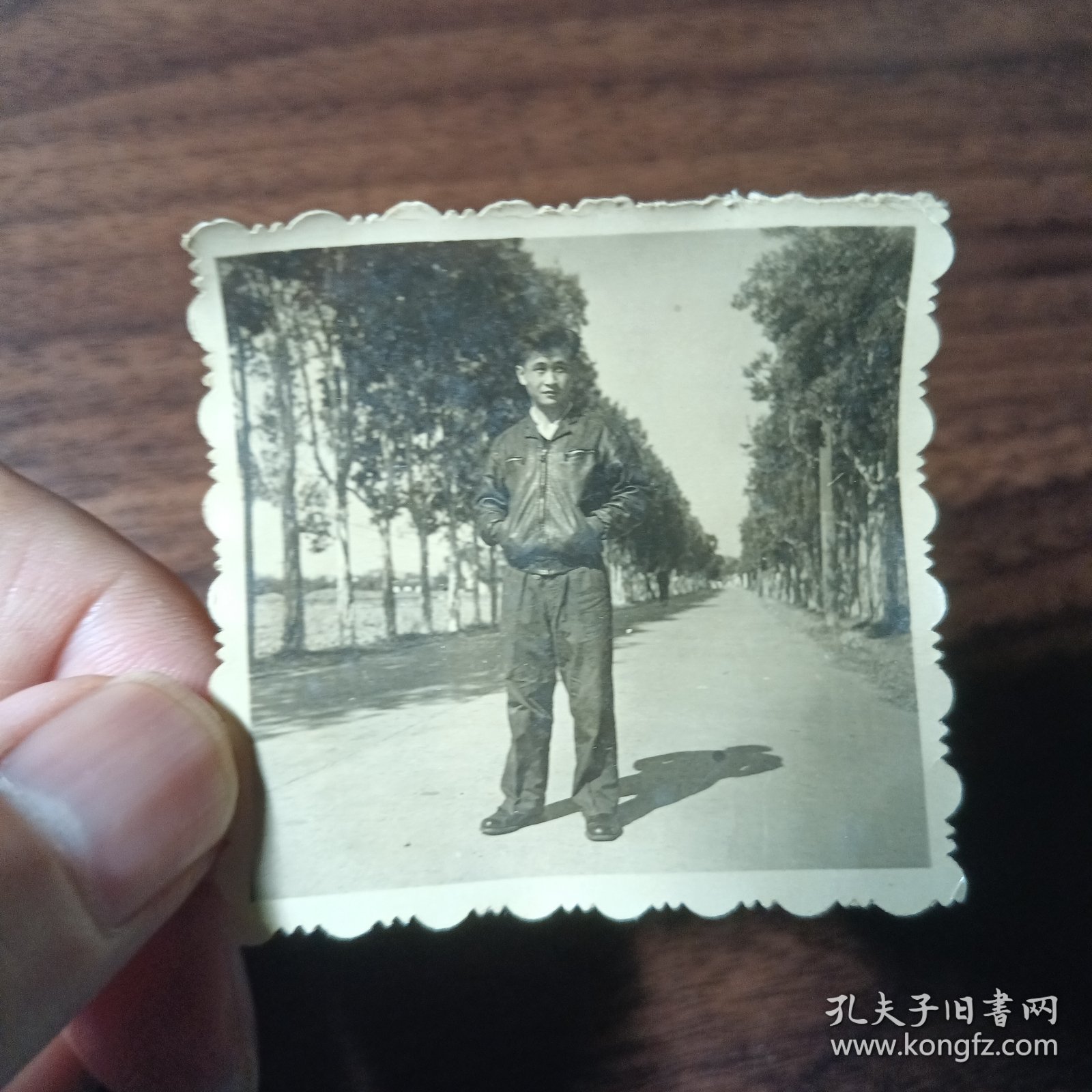 老照片–穿皮衣的帅气青年站在长沙烈士公园路上留影（两边绿树成荫）