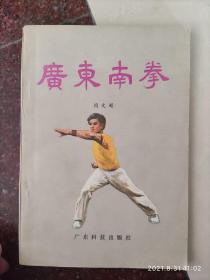 广东南拳，武术书籍，武功秘籍，武术古籍，8品