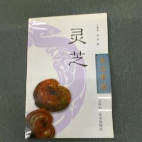 灵芝