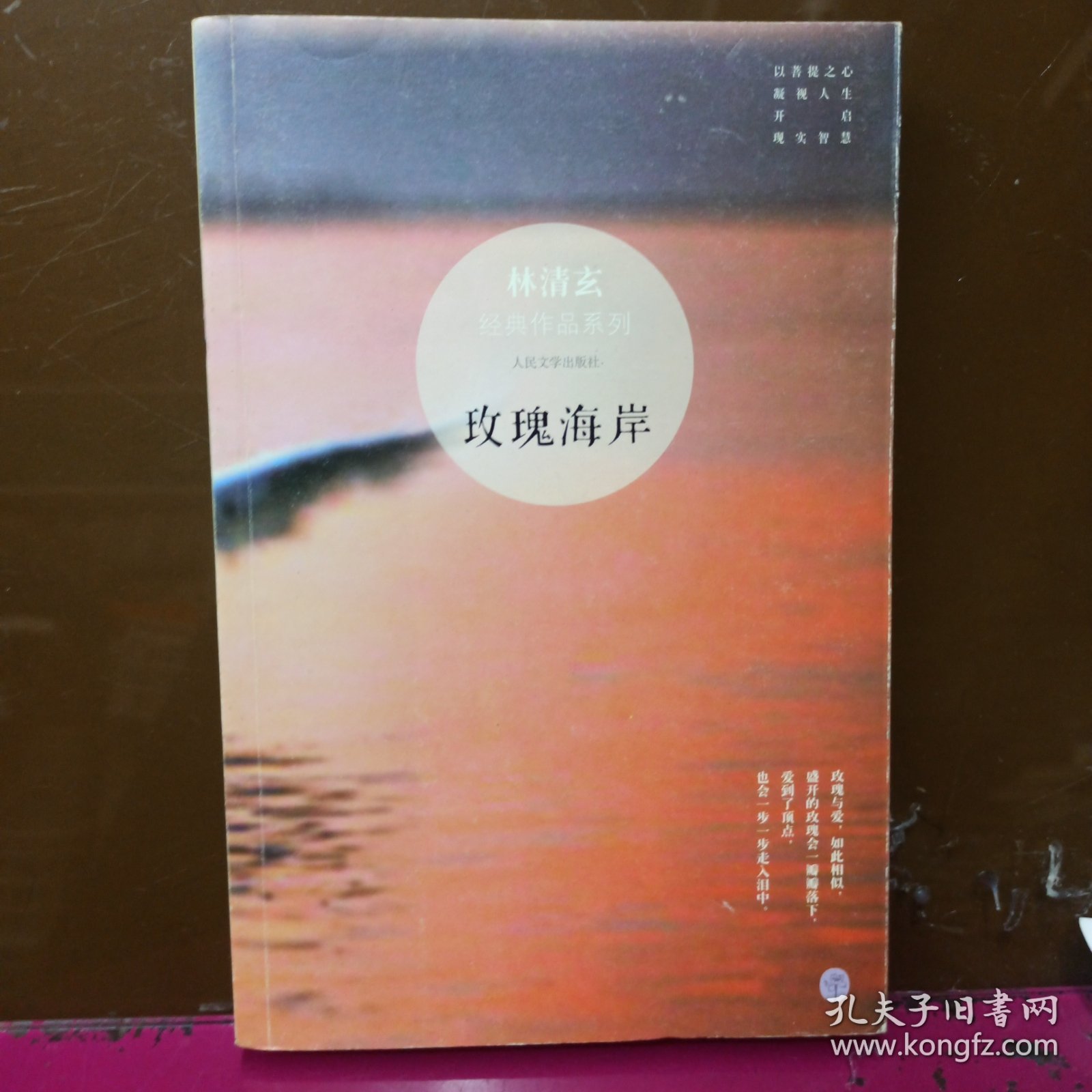 玫瑰海岸：林清玄经典作品系列