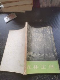 森林生活