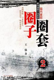 圈子圈套2——职场激励小说系列王强