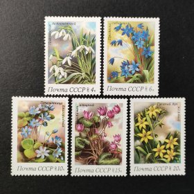 苏联邮票，1983年春天的花卉 仙客来 雪莲花等邮票5全