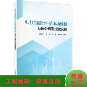 电力金融衍生品市场机制及国外典型运营实例