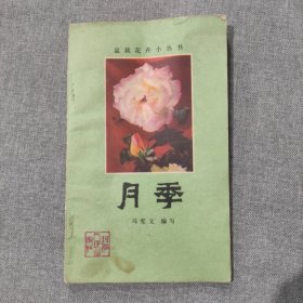 盆栽花卉小丛书 月季