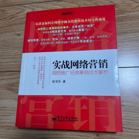 实战网络营销：网络推广经典案例战术解析