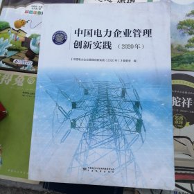 中国电力企业管理创新实践