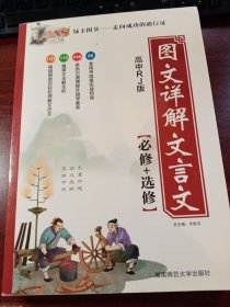 绿卡图书 图文详解文言文(RJ版)高中