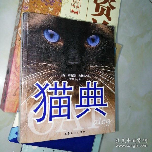 猫典