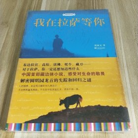 藏边体小说：我在拉萨等你【全新未拆封】