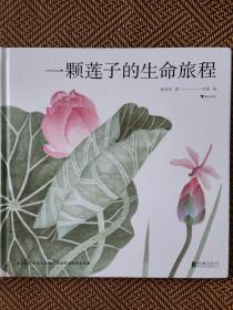 一颗莲子的生命旅程（5-10岁，国画绘出莲的生命轮回，完整展现莲的生命过程，细品传统荷莲文化）