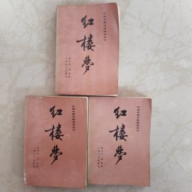 中国古典文学读本丛书:红楼梦(上中下)