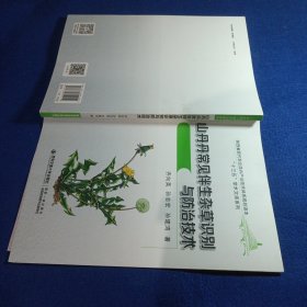 山丹丹常见伴生杂草识别与防治技术