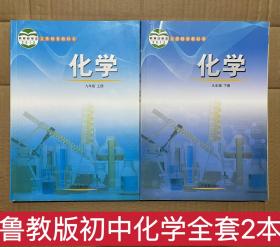 新版鲁教版初中九年级化学上下册全套2本