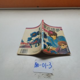 紫花情梦2