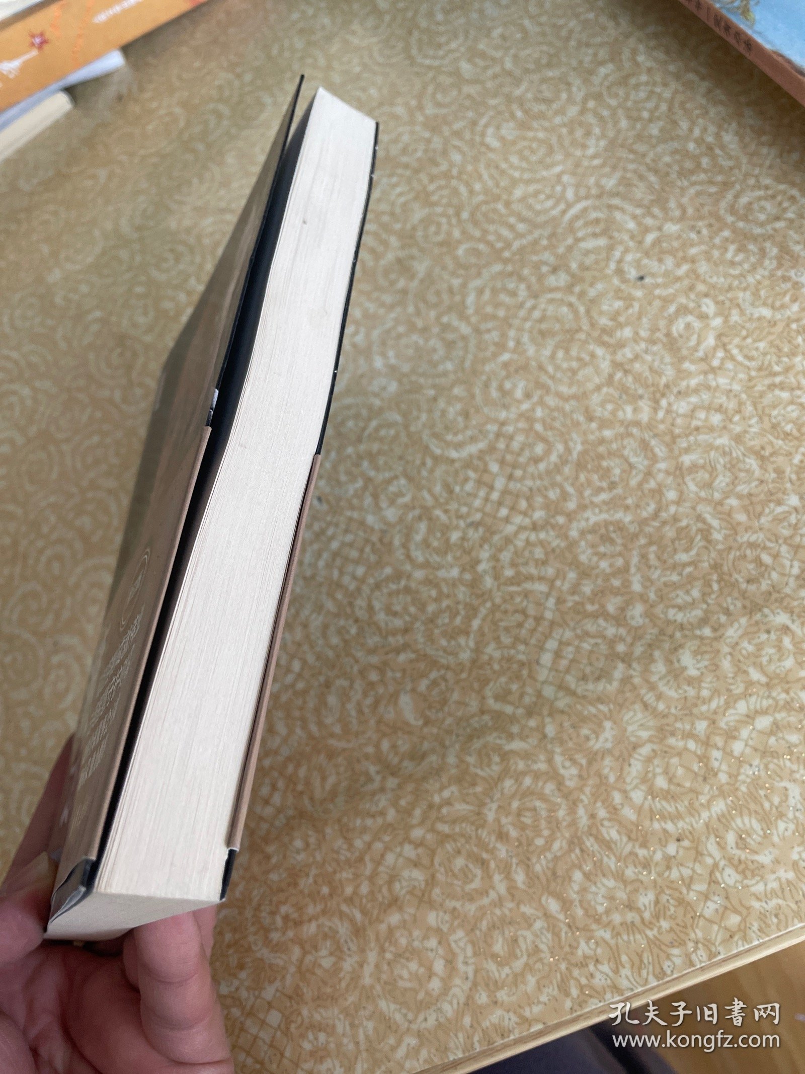 法商之道——企业家法律风险防范36计（修订版）（作者签名本）