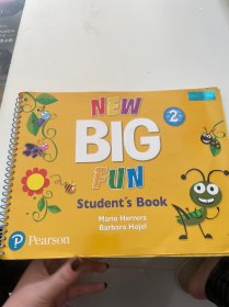 NEW BIG FUN WorkBook 2（附光盘）