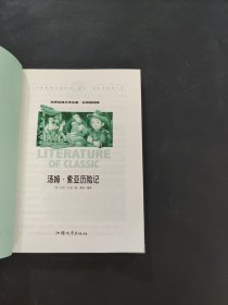 汤姆索亚历险记
