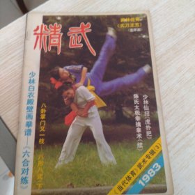 精武83.3