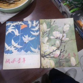陕西青年1980年第2.3期两本合售 李建彤小说《刘志丹》选载 说几句话等内容目录如图