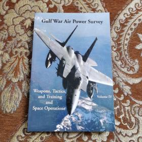 Gulf War Air Power Survey