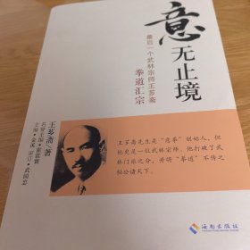 “意”无止境：最后一个武林宗师王芗斋拳道汇宗
