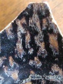 宋代吉州窑鹧鸪斑底足瓷片，6.5、5.5、2.5厘米