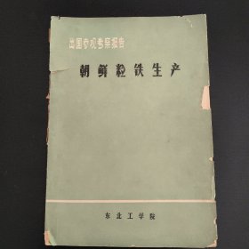 出国参观考察报告 朝鲜粒铁生产