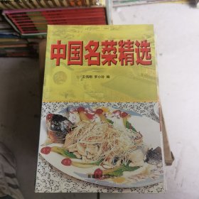 中国名菜精选（由烹饪大厨王伟刚编写，书中详细介绍了烹调的基础知识和技法，具体传授了我国四大菜系名菜的用料和烹调方法。内容丰富多彩，技法精纯可靠，具有较高的实用价值。通过它，广大读者不仅可掌握系统的烹调知识，而且可以学会制作各种色、香、味、形、器俱佳的精美菜肴，为生活增添美的享受。）