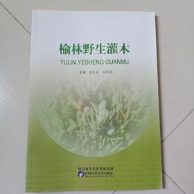 榆林野生灌木