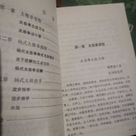 杨式太极拳