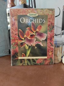 Orchids (Sunset)